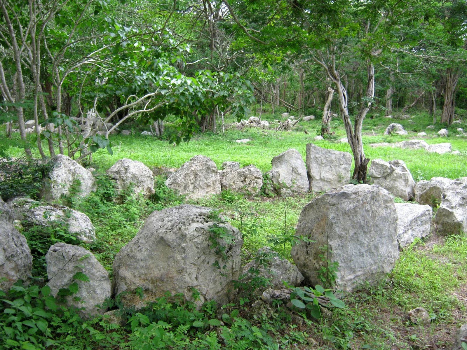 Dzibilchaltún