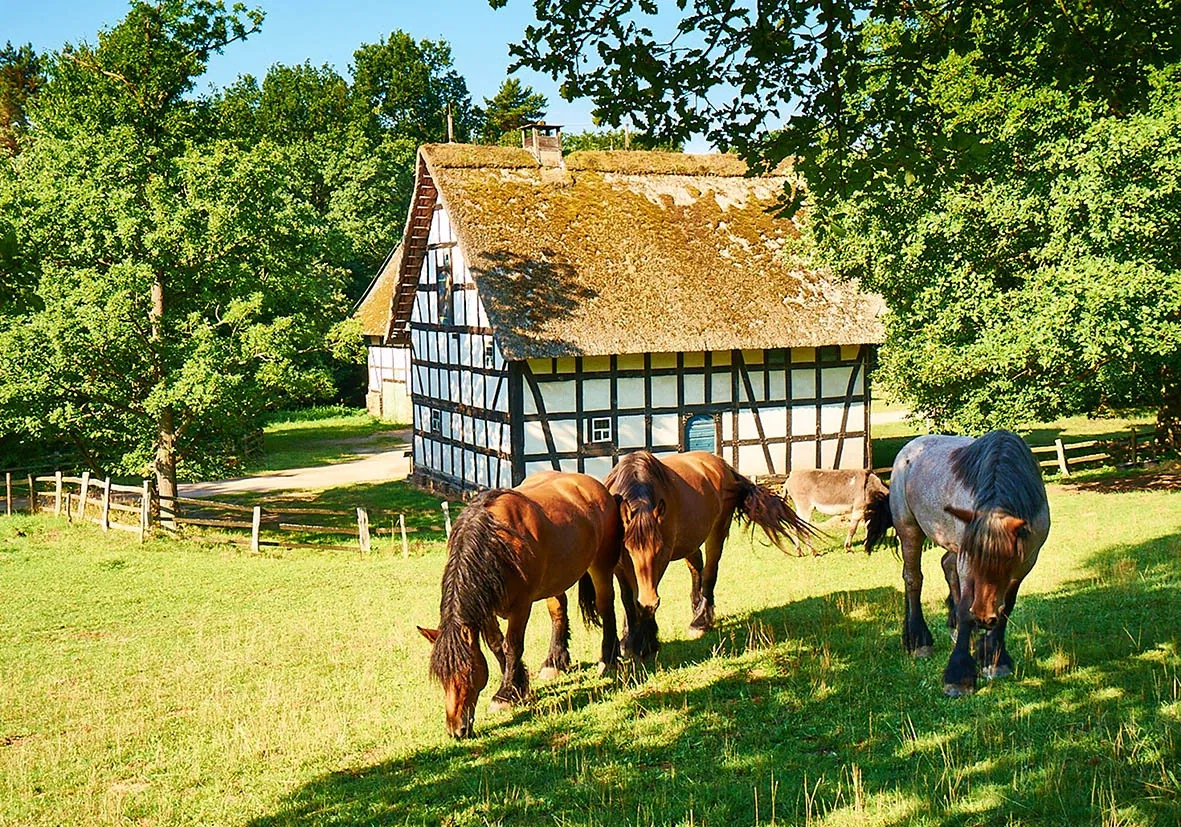 Kommern Open Air Museum