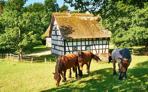 Kommern Open Air Museum