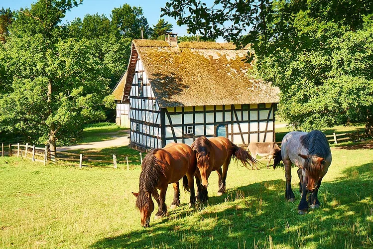 Kommern Open Air Museum