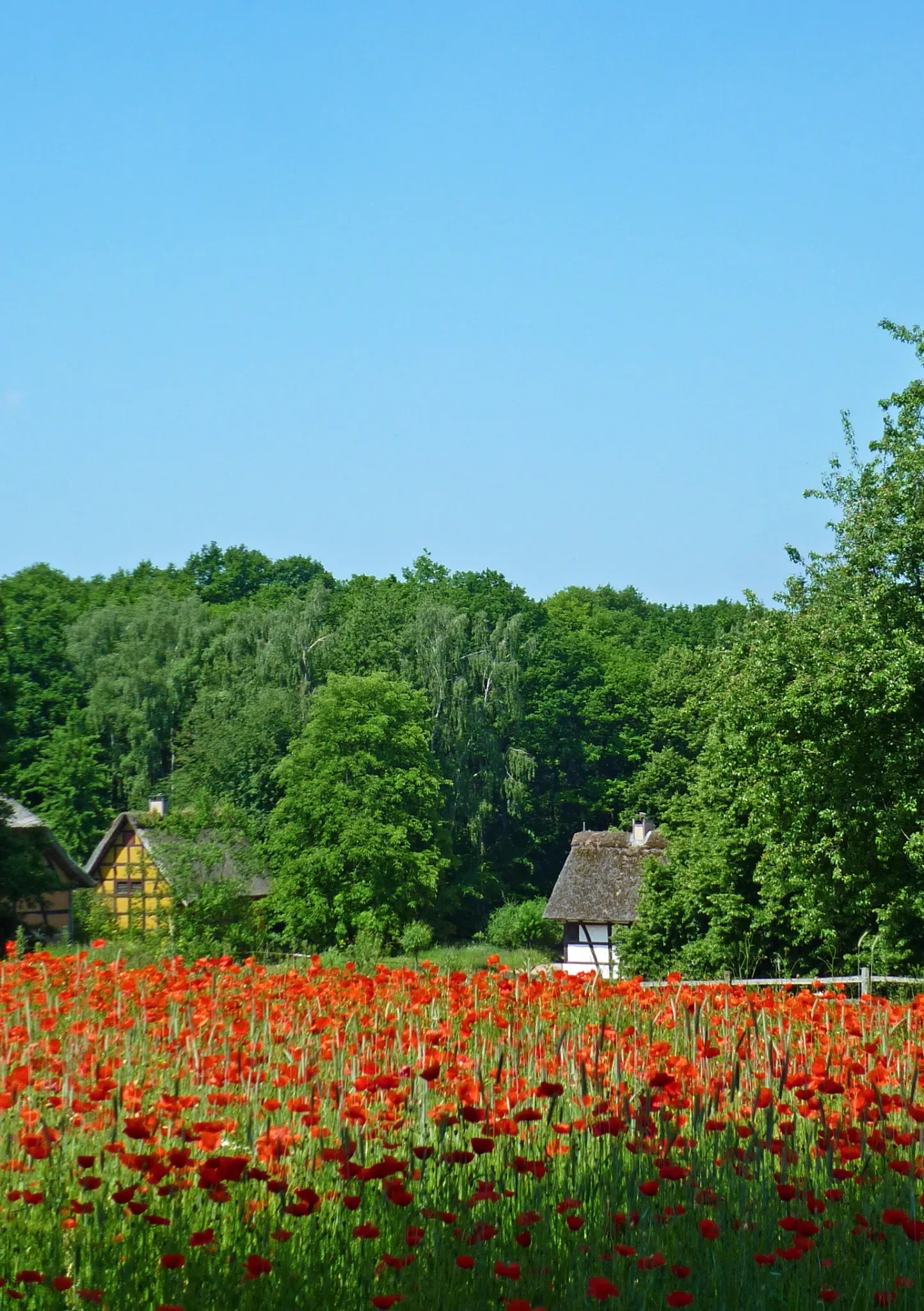 LVR-Freilichtmuseum Kommern