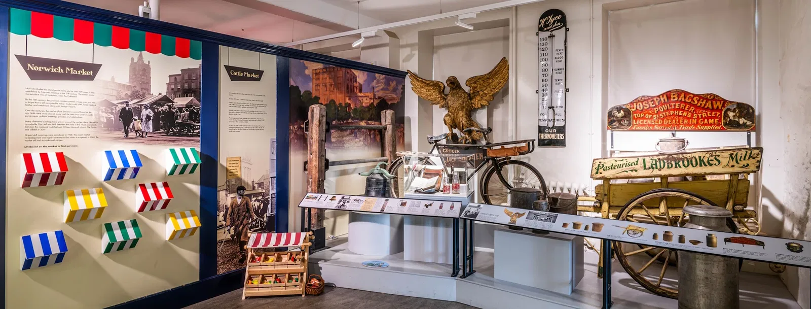 Museum of Norwich at the Bridewell