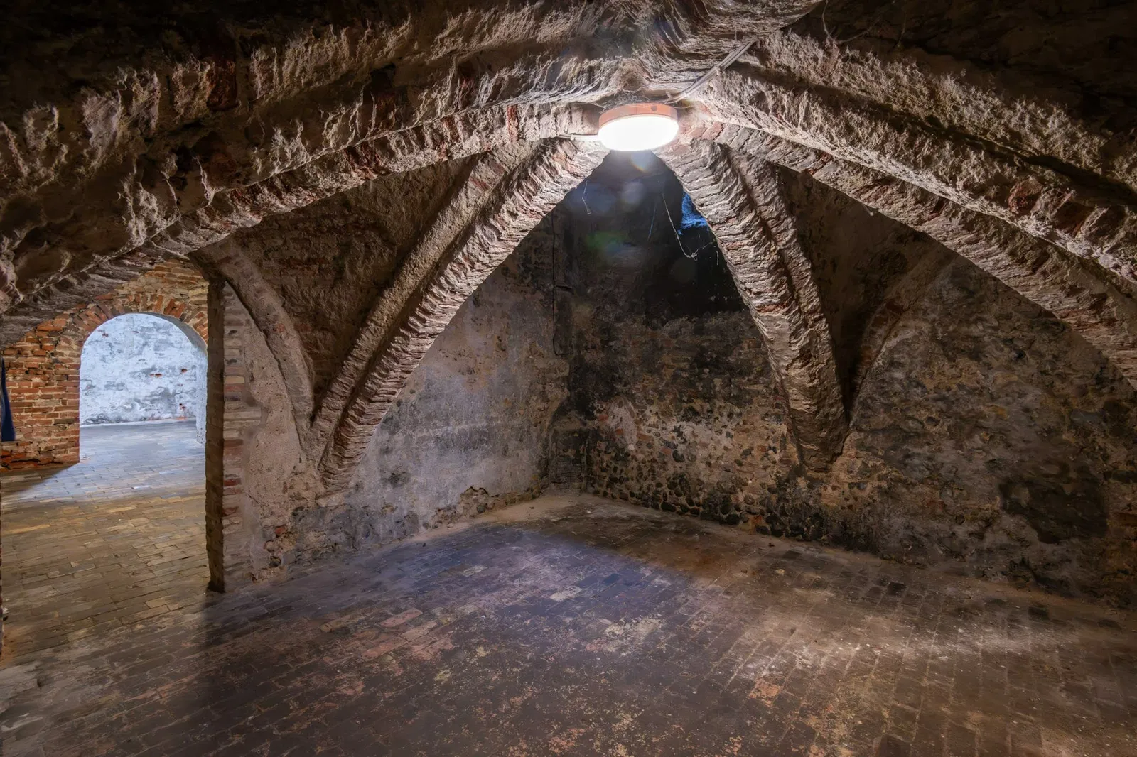 Museum of Norwich at the Bridewell