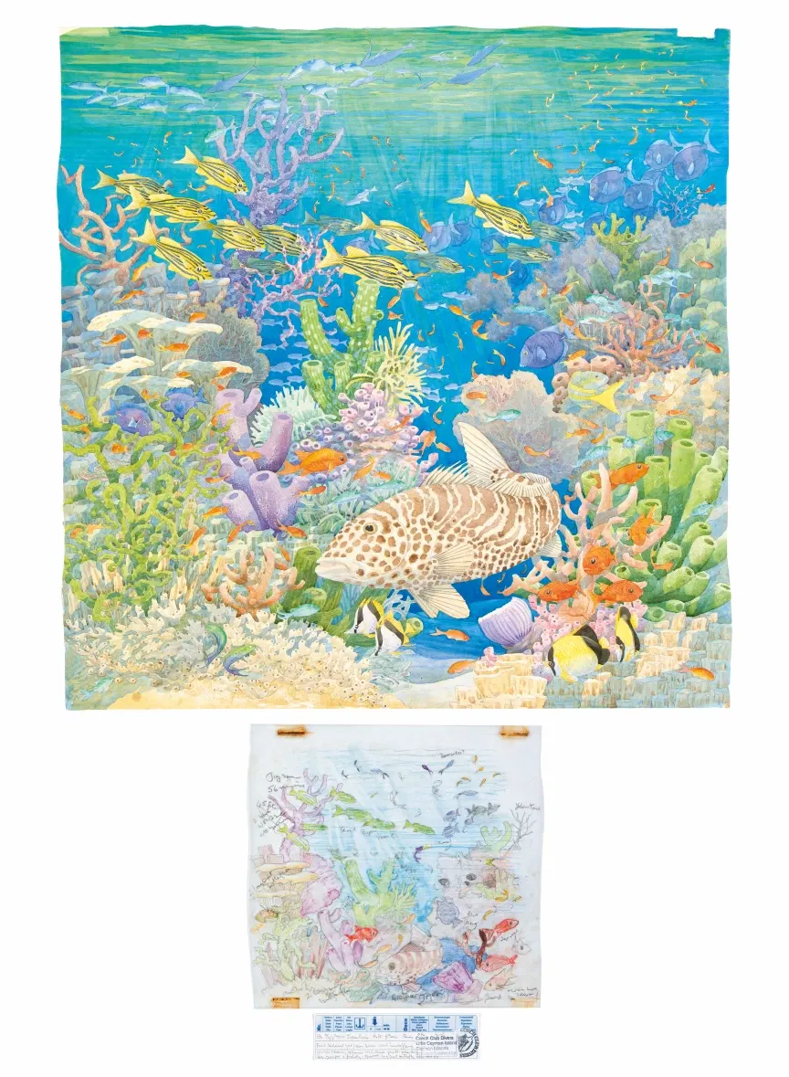 Exploring Beauty: Watercolour Diaries from the Wild