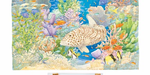 Exploring Beauty: Watercolour Diaries from the Wild