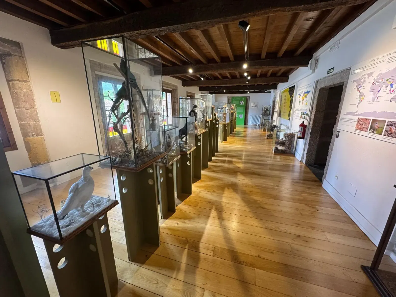 Museo De La Naturaleza De Cantabria • Gary