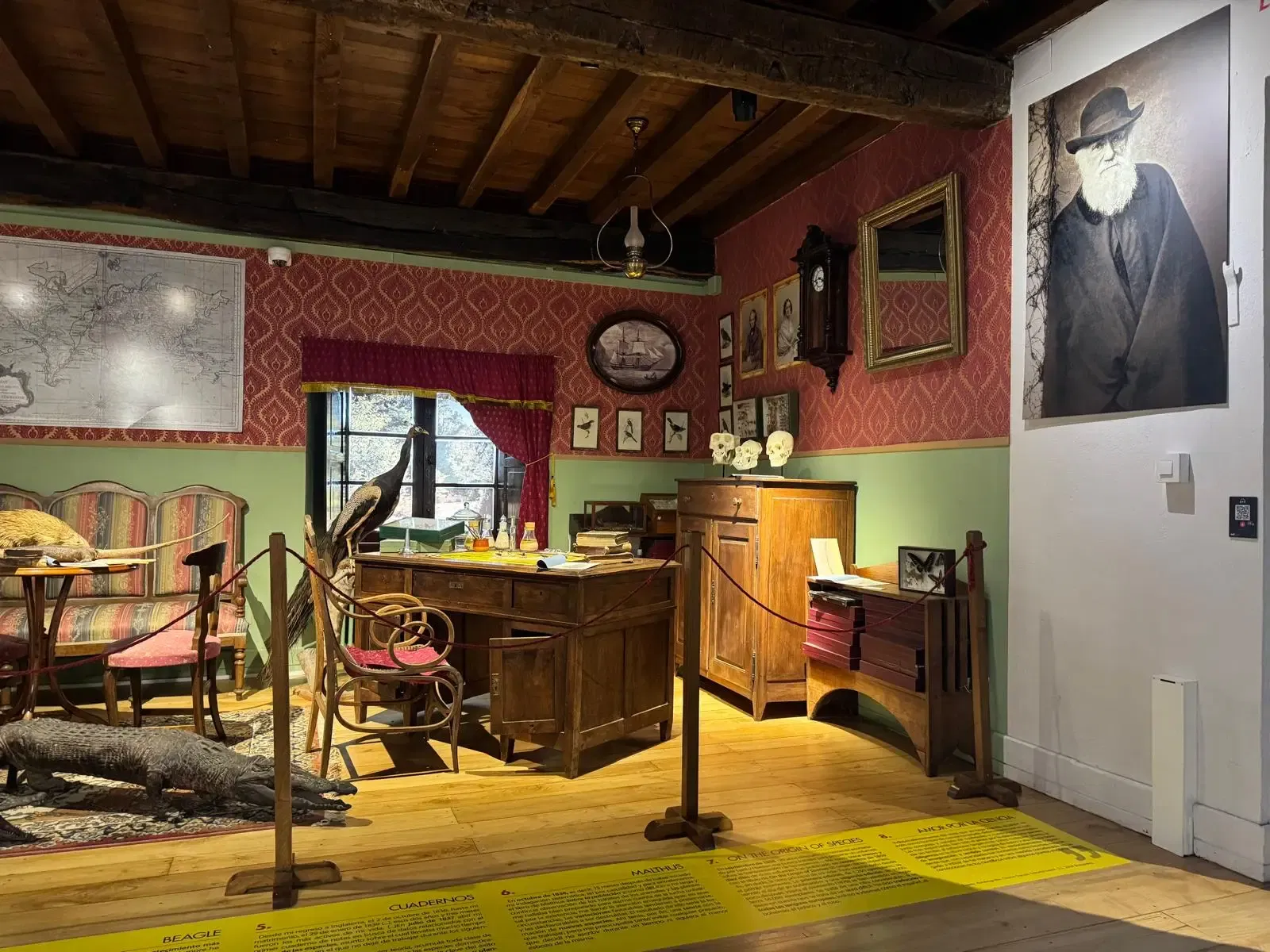 Museo De La Naturaleza De Cantabria • Gary