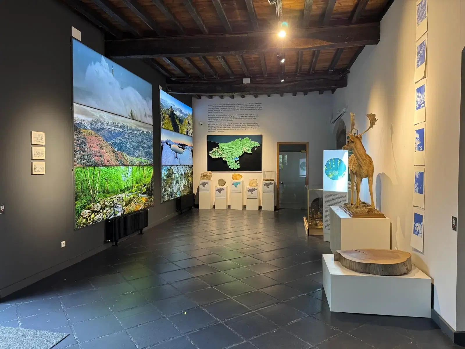 Museo De La Naturaleza De Cantabria • Gary