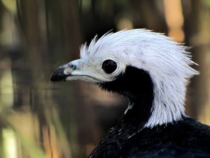 Jardín Zoológico y Botánico de La Plata
