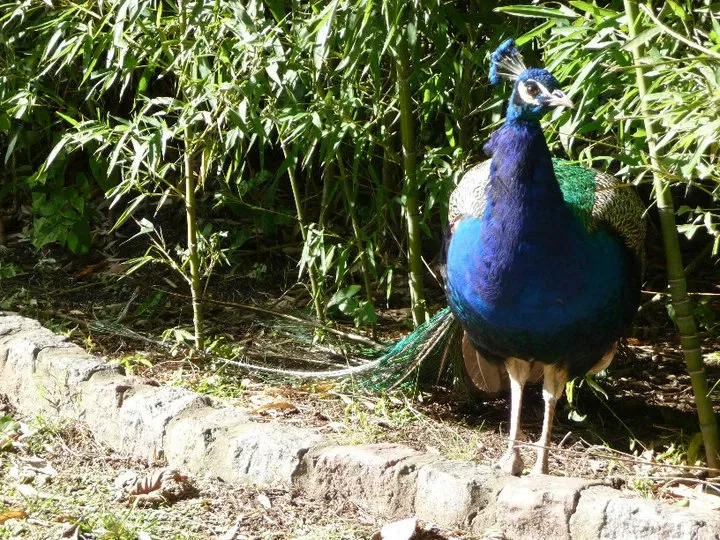Jardín Zoológico y Botánico de La Plata
