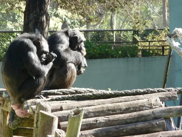 Jardín Zoológico y Botánico de La Plata