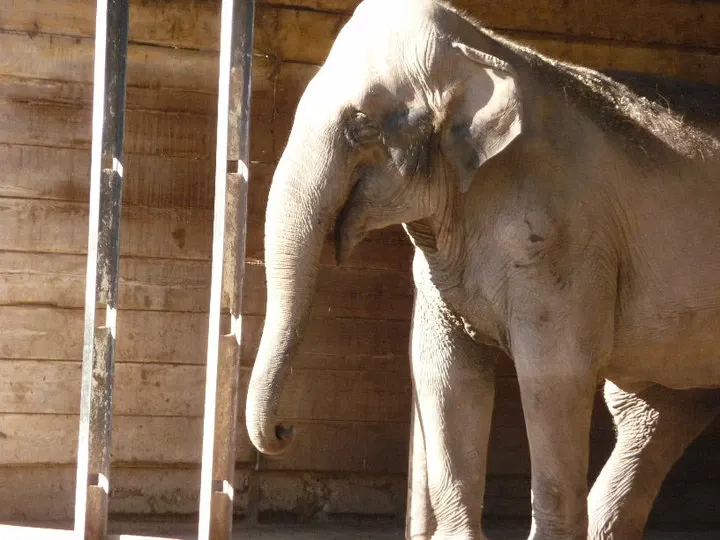 Jardín Zoológico y Botánico de La Plata