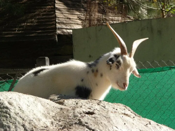 Jardín Zoológico y Botánico de La Plata