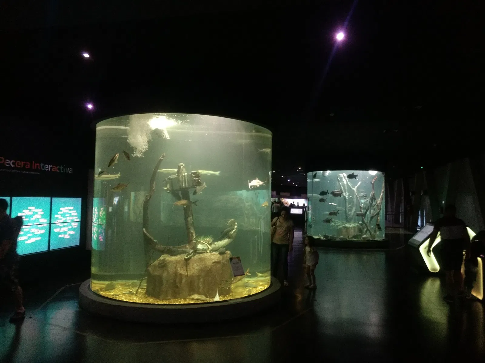 Acuario del Río Paraná