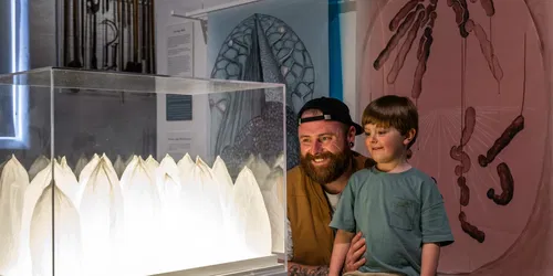 Through the Microscope: secrets of Norfolk's changing landscape with Edible East