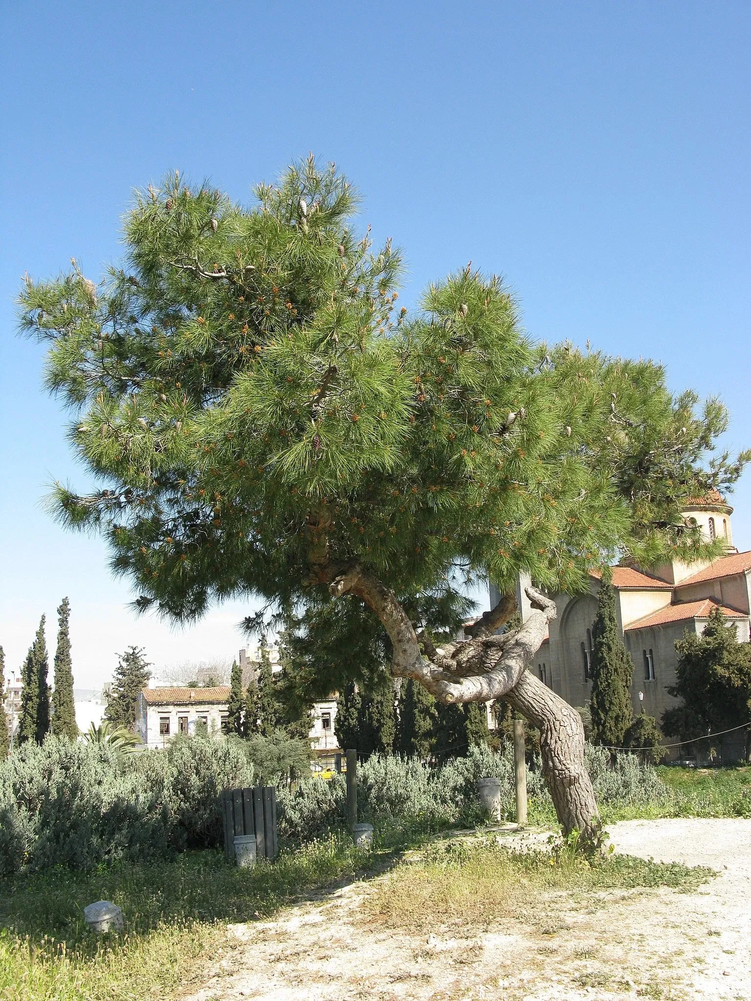 Céramique (Athènes)