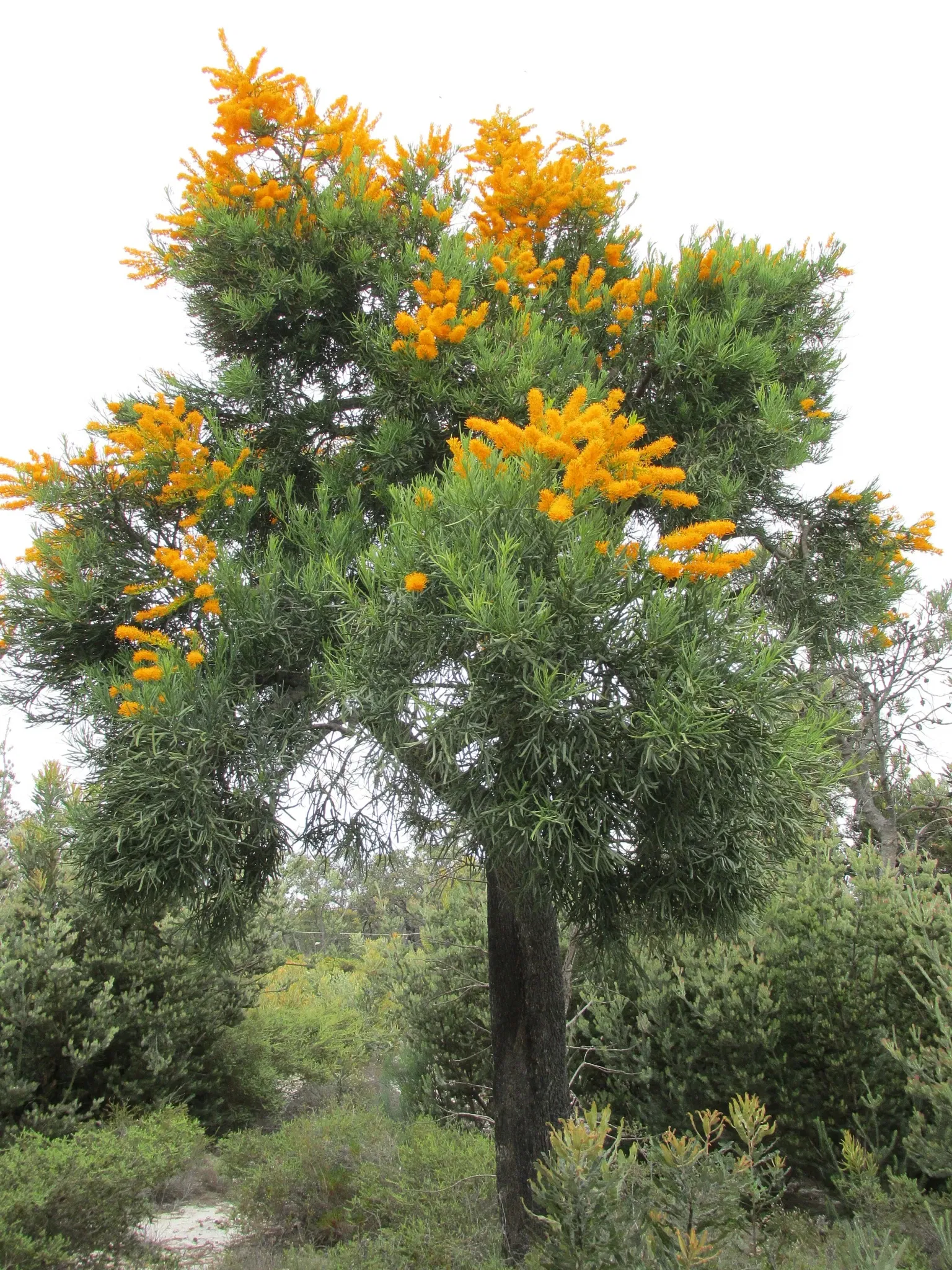 Gravity Discovery Centre & Observatory