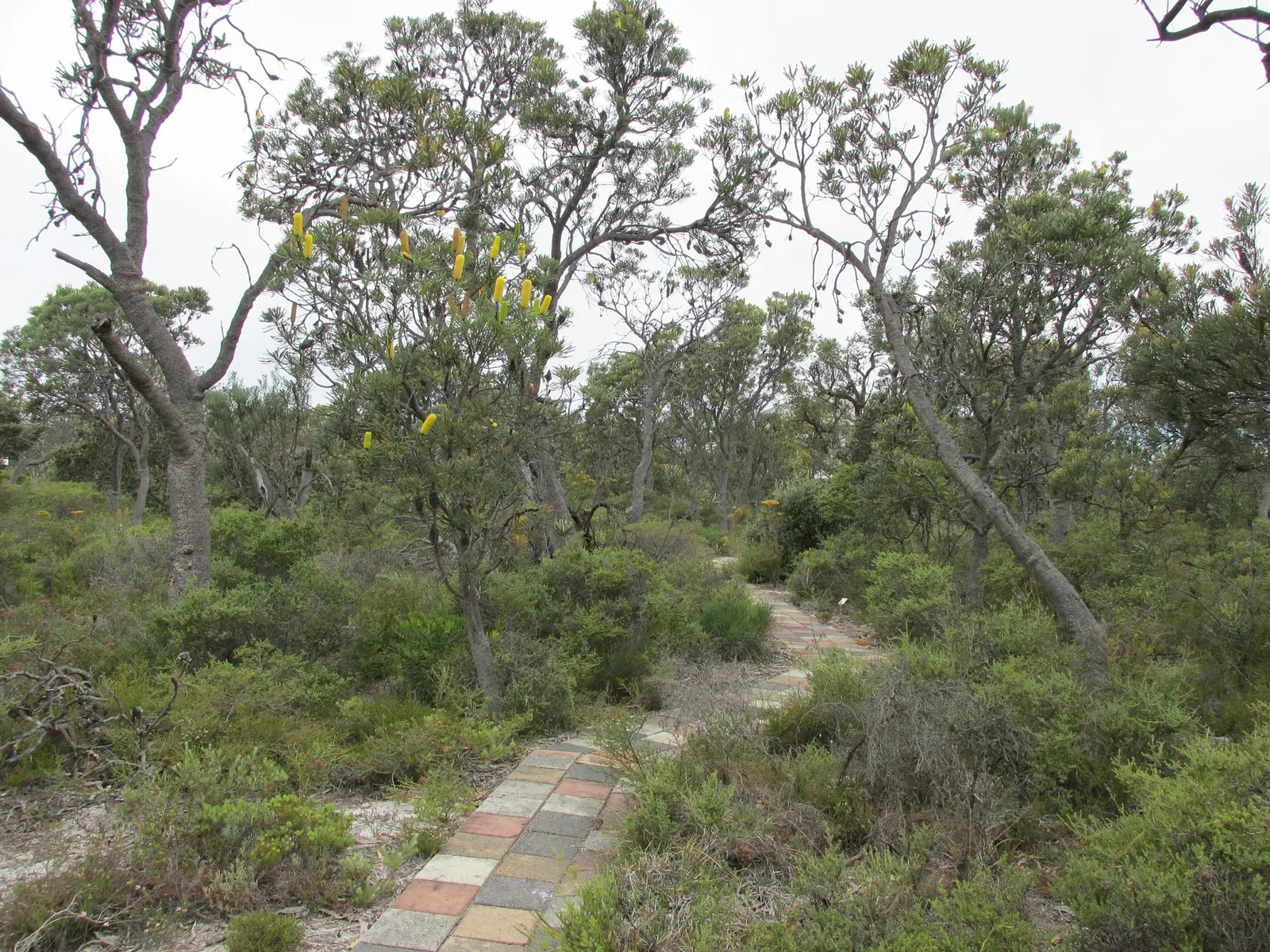 Gravity Discovery Centre & Observatory