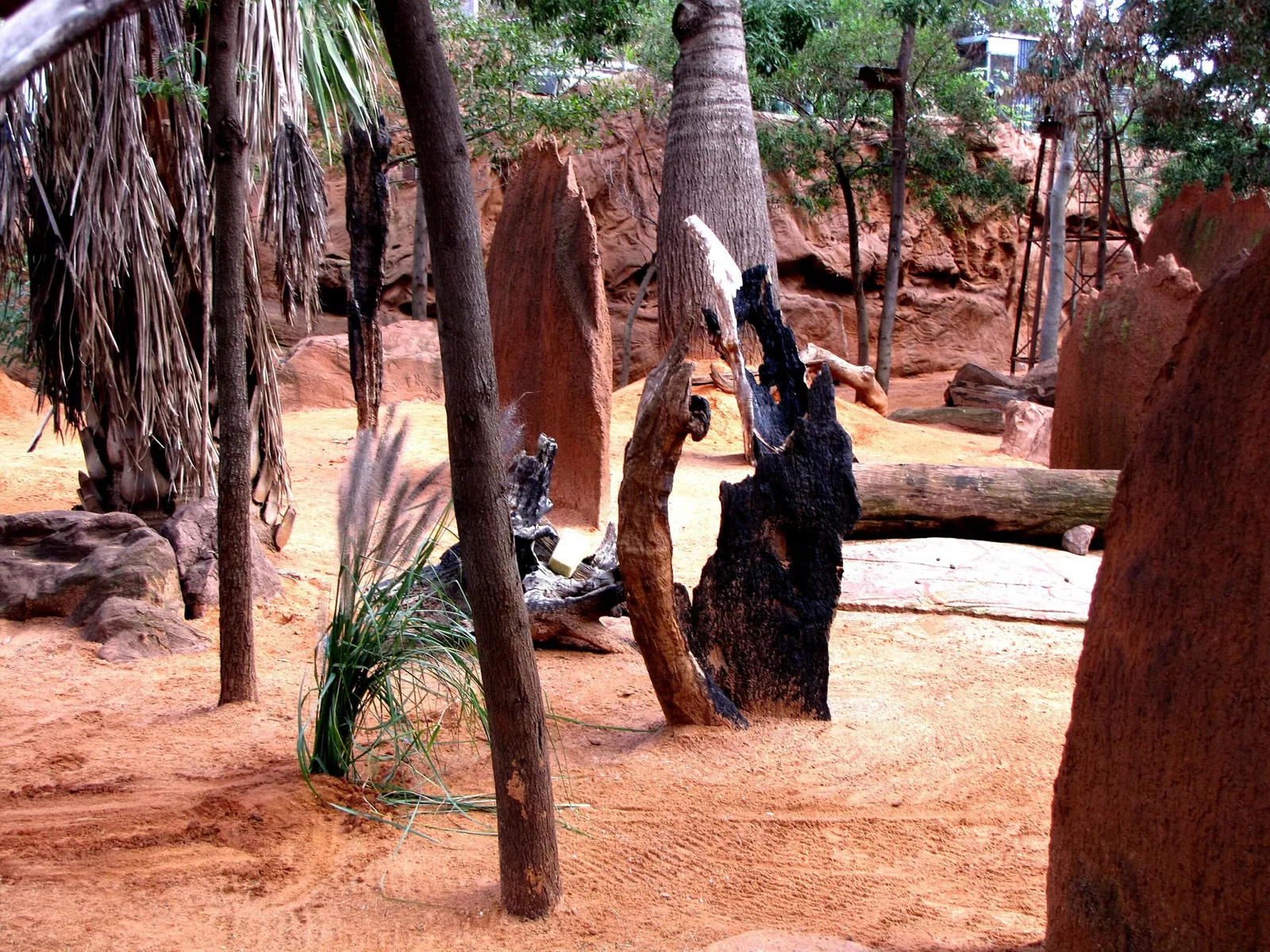 Wild Life Sydney Zoo