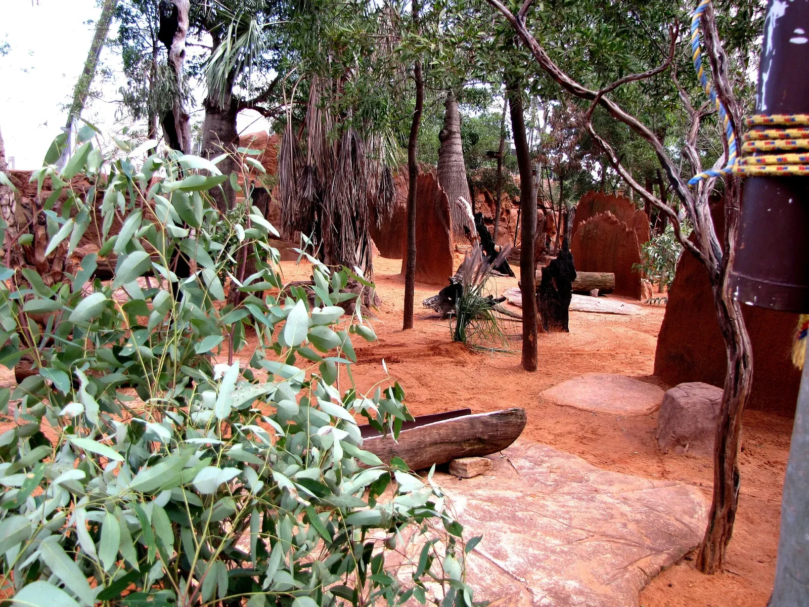 Wild Life Sydney Zoo