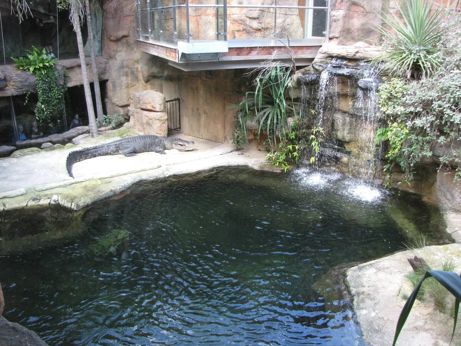 Wild Life Sydney Zoo