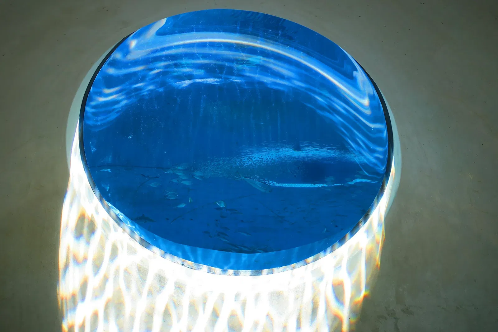 Phillip & Patricia Frost Museum of Science