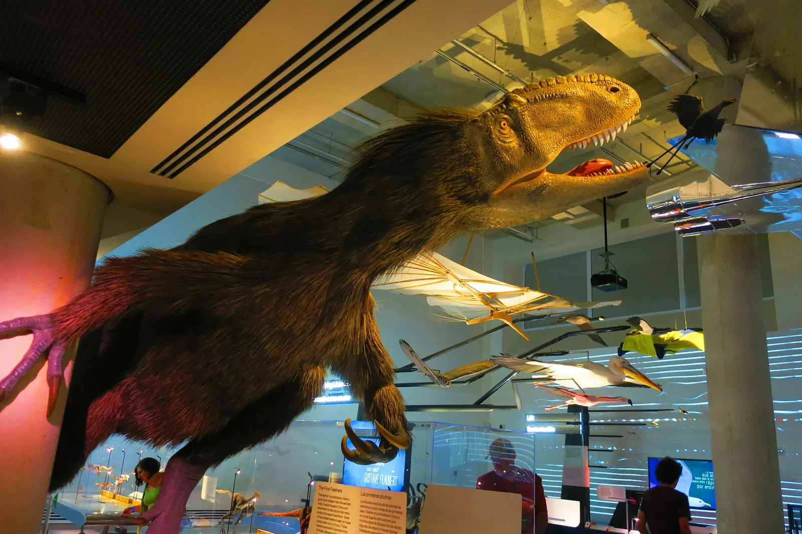 Phillip & Patricia Frost Museum of Science