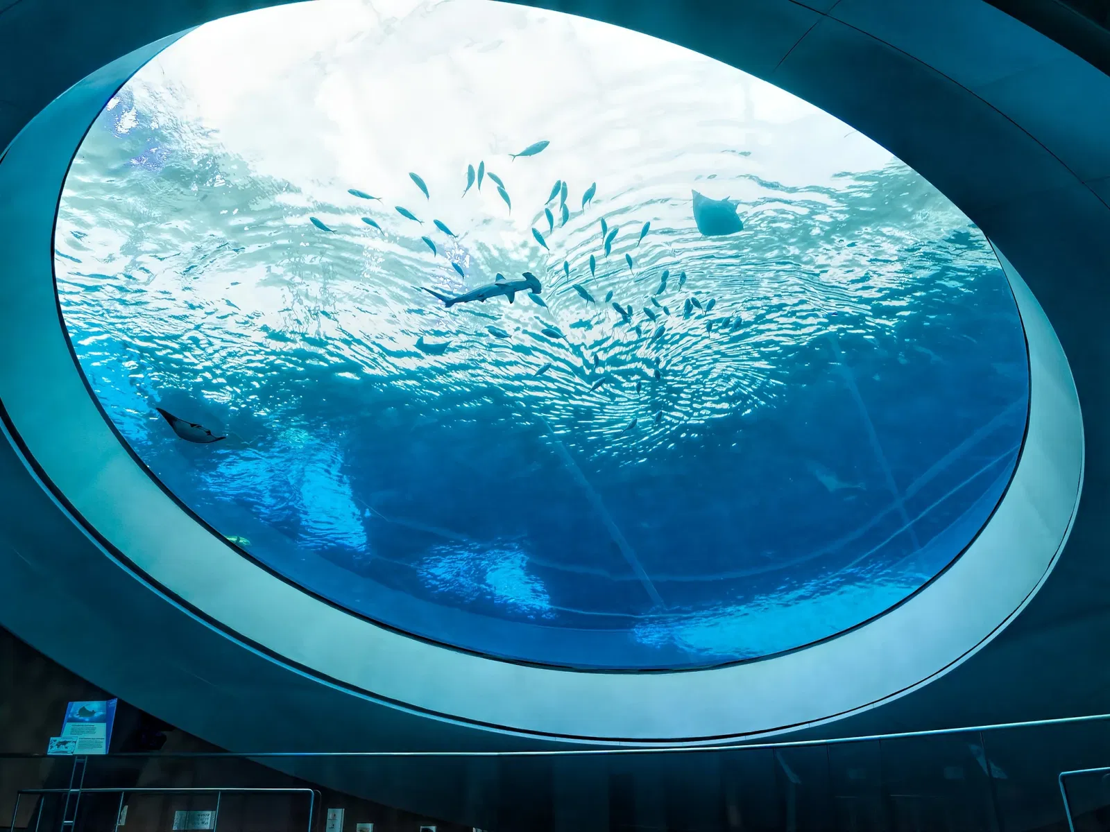 Phillip & Patricia Frost Museum of Science