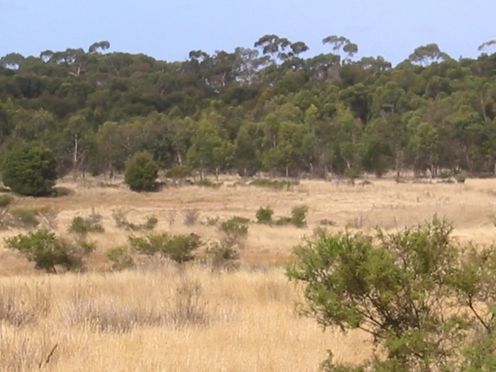 Phillip Island Nature Parks