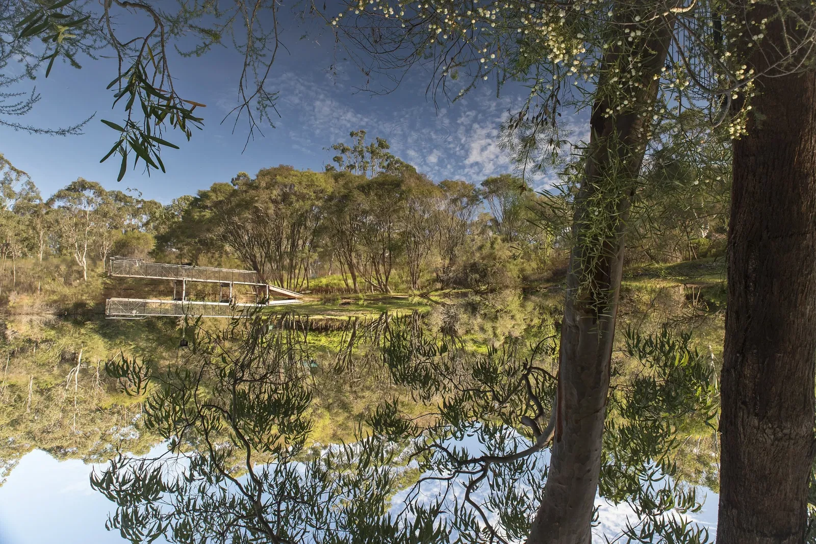 Australian Reptile Park