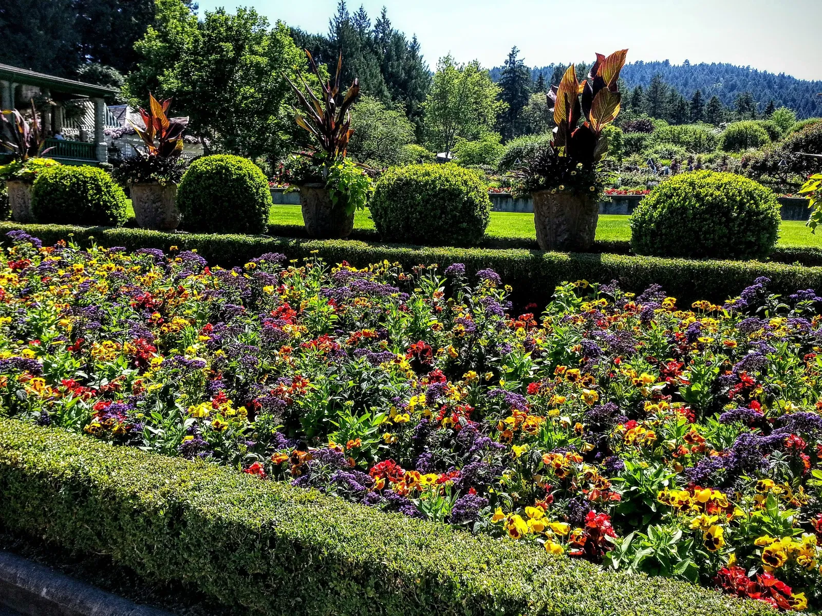 The Butchart Gardens