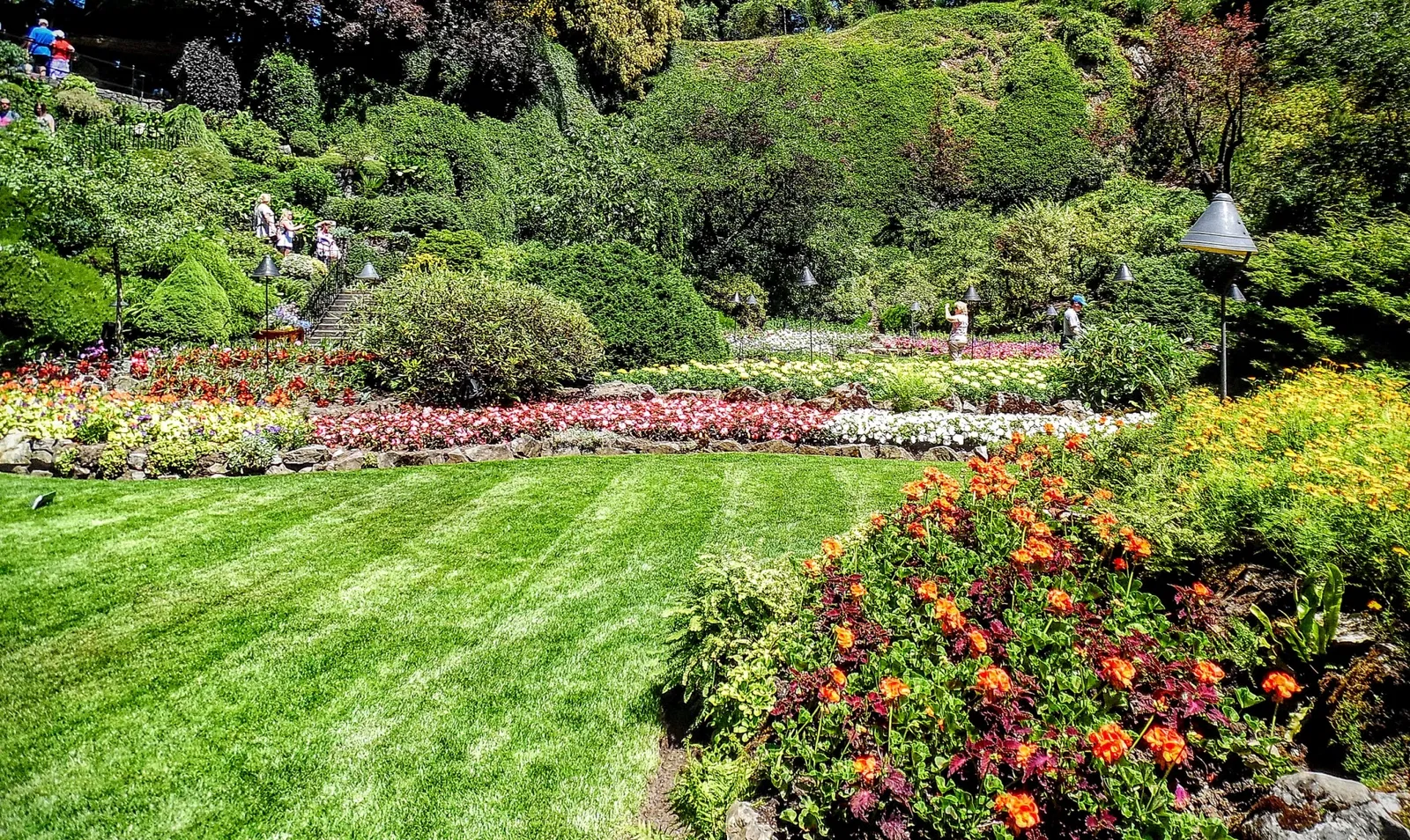 Butchart Gardens
