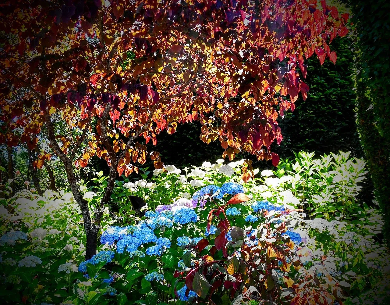 The Butchart Gardens