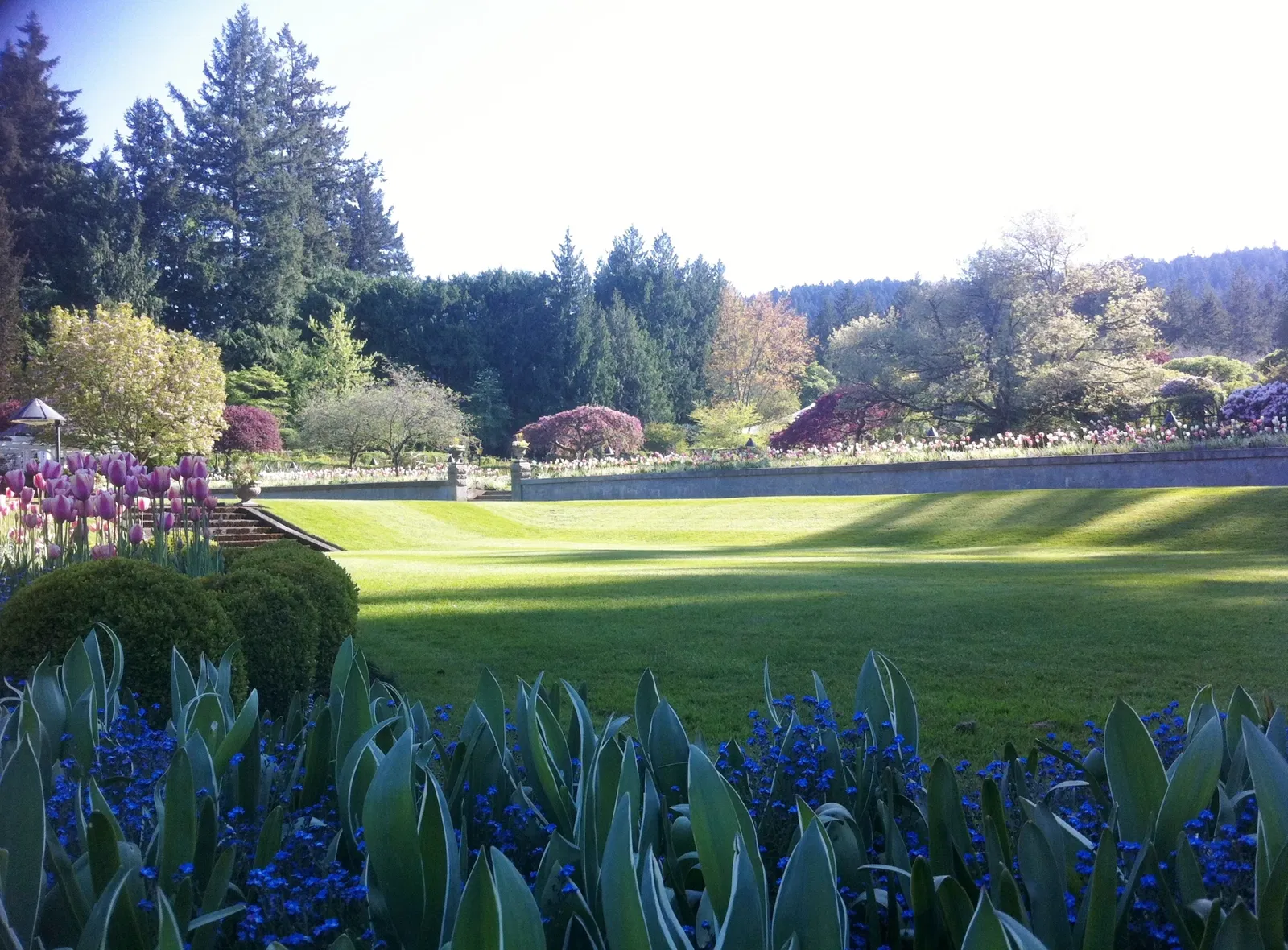 The Butchart Gardens