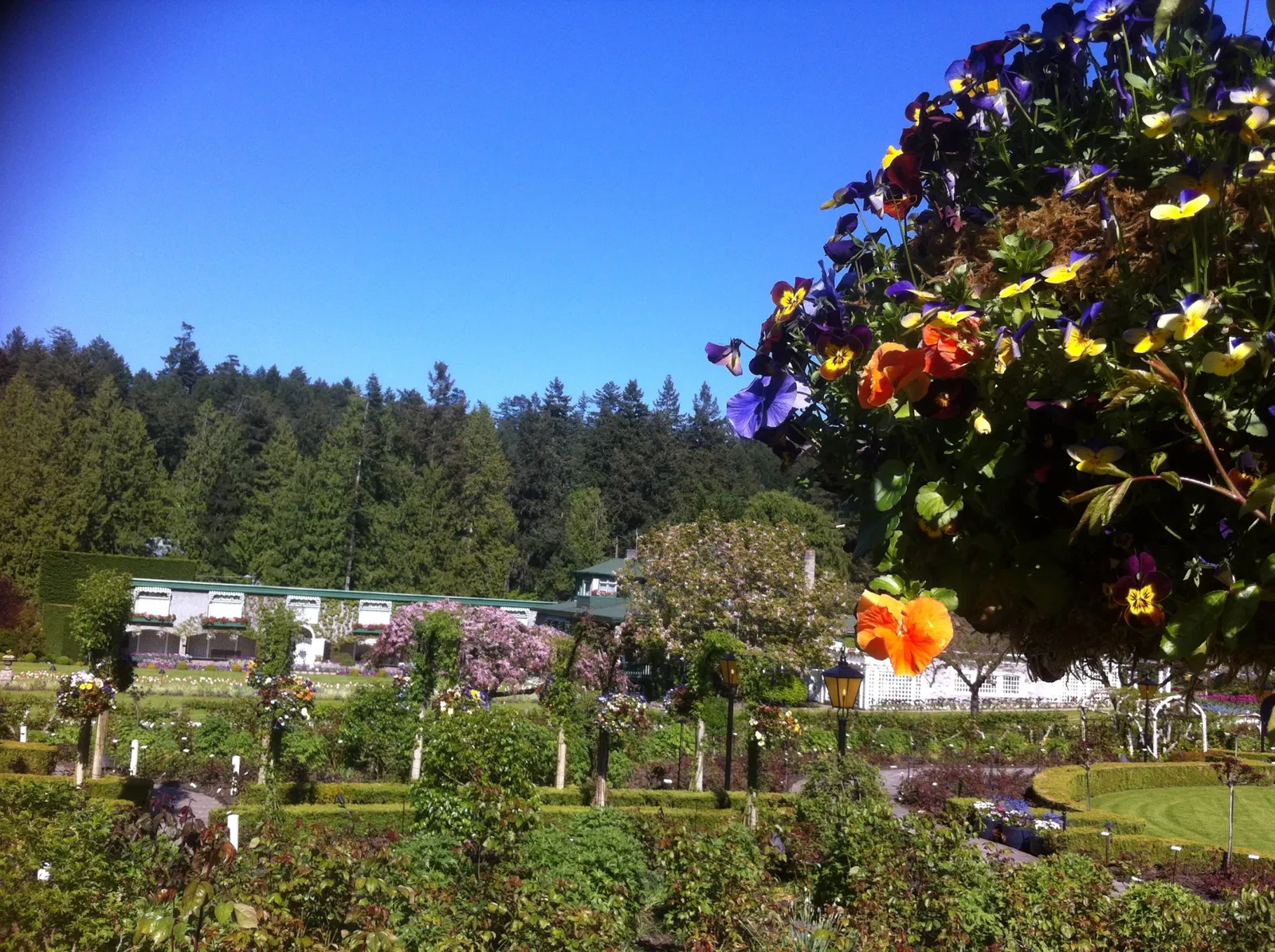 Butchart Gardens