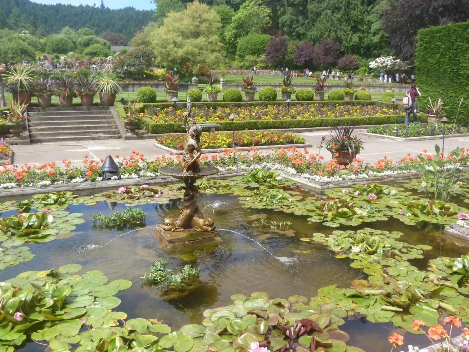 The Butchart Gardens