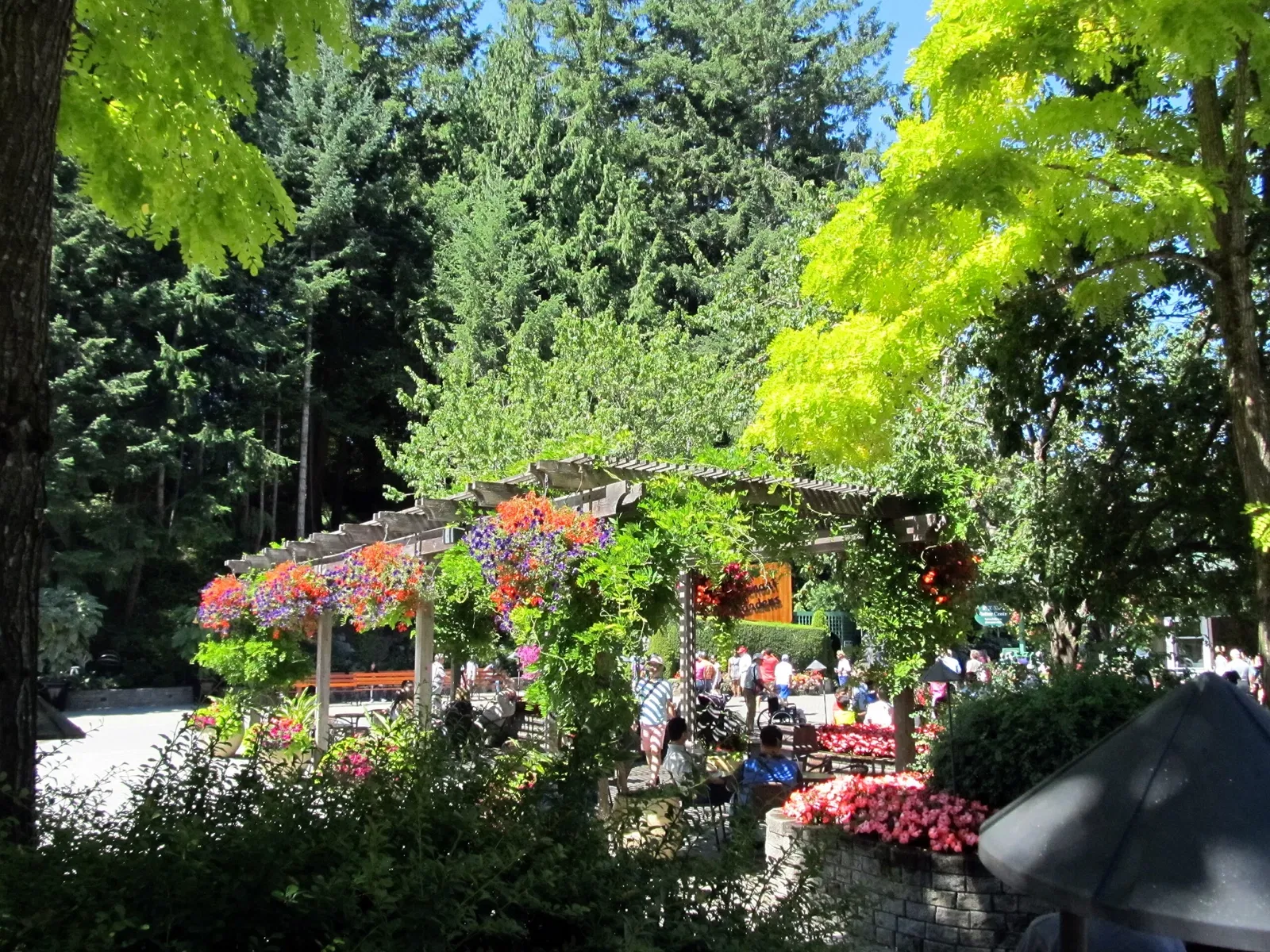 Butchart Gardens