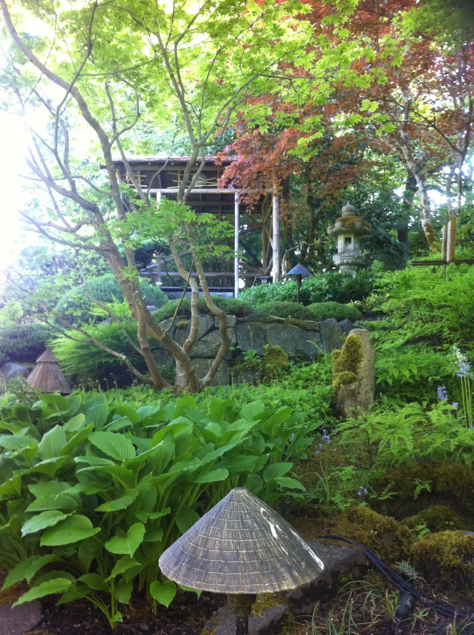 The Butchart Gardens