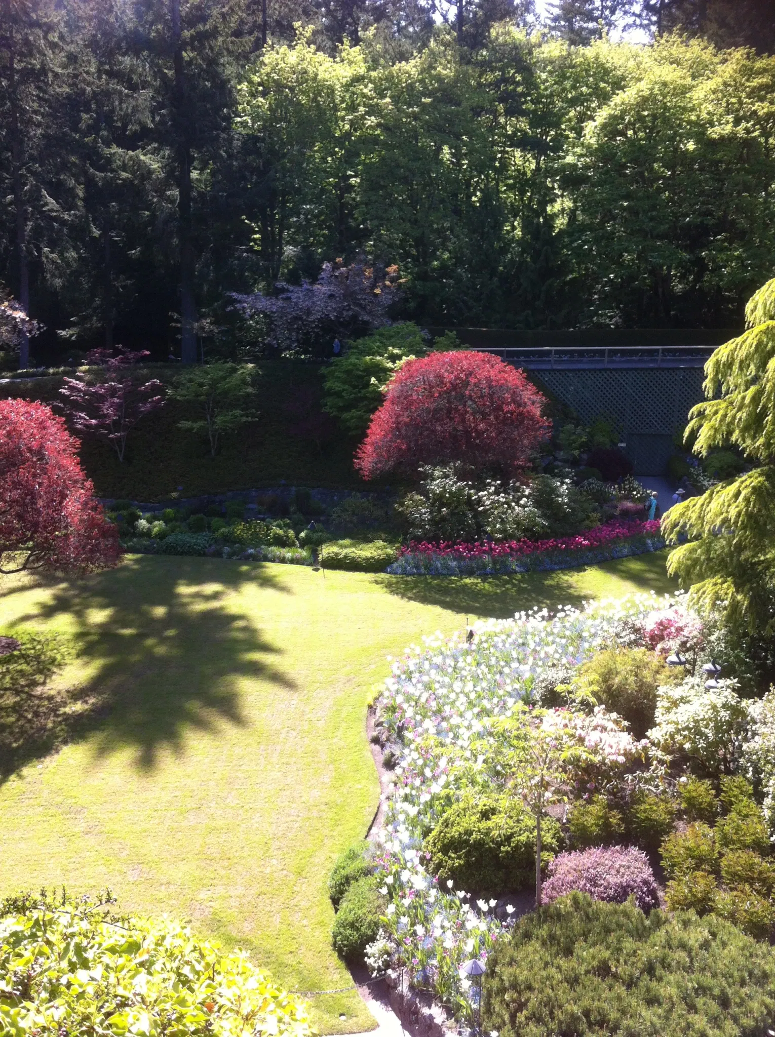 The Butchart Gardens