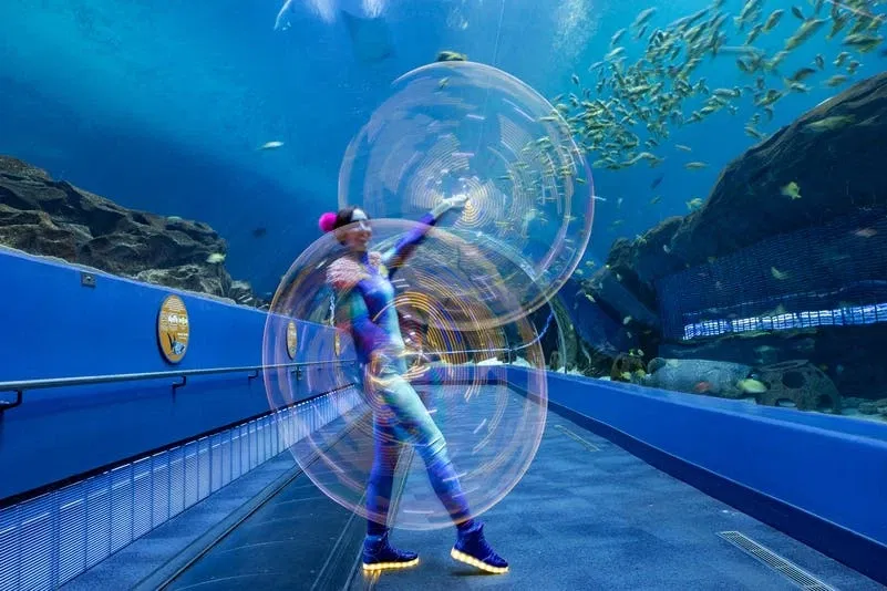 Nuits lumineuses à l'Aquarium de Géorgie