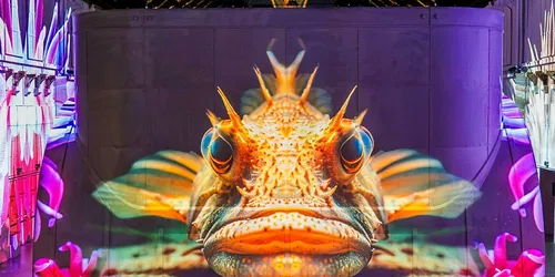 El mar