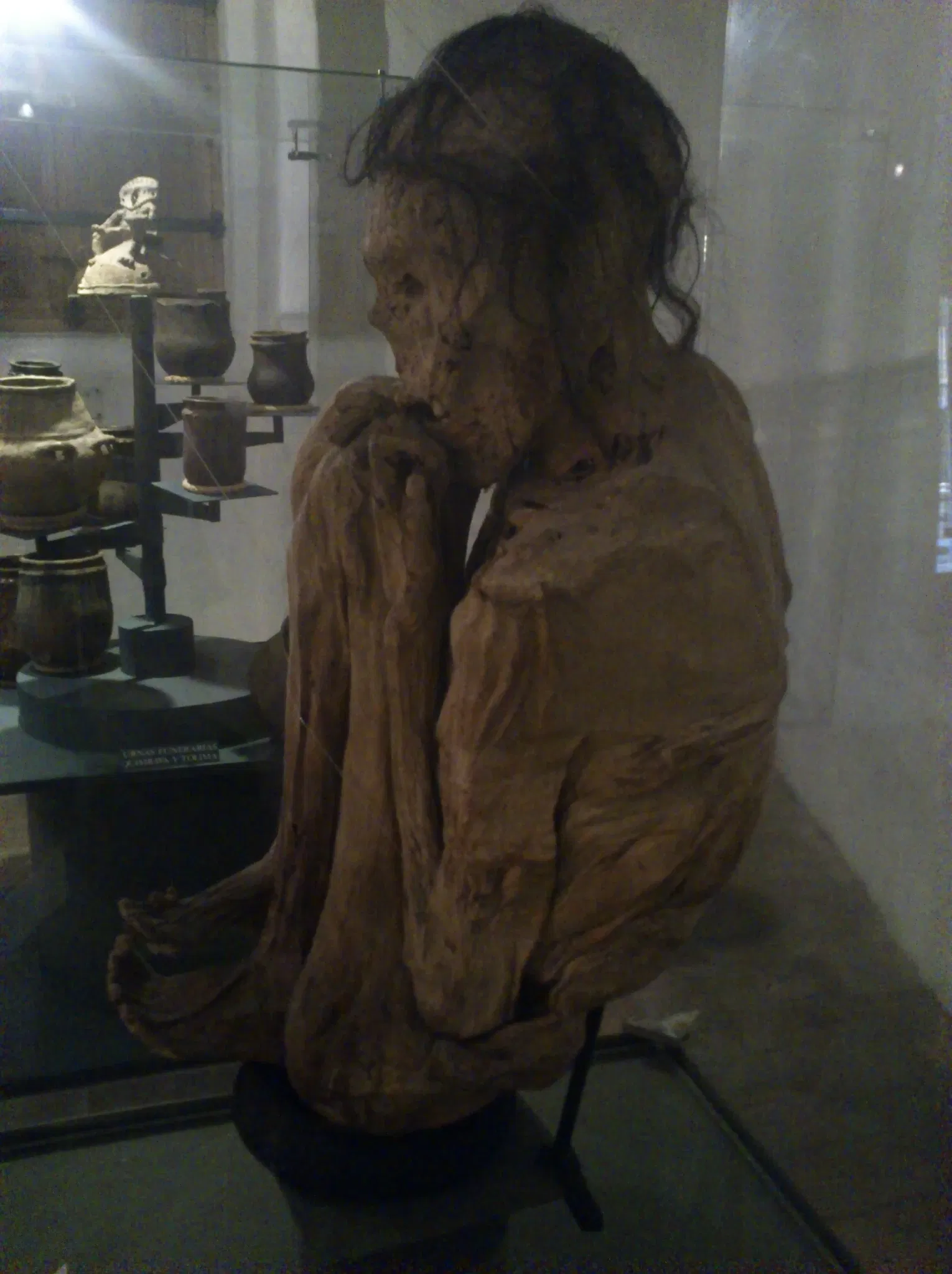 Musa Museo Arqueológico