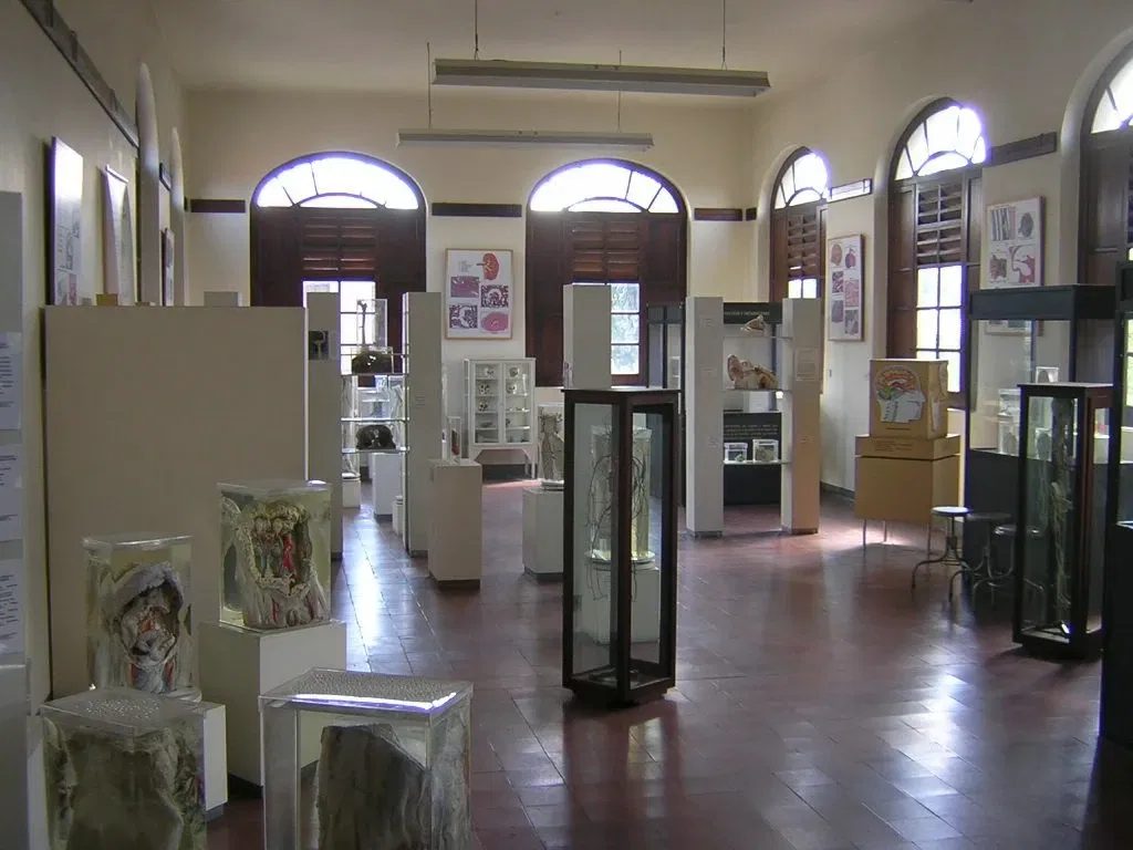 University of Antioquia Museum