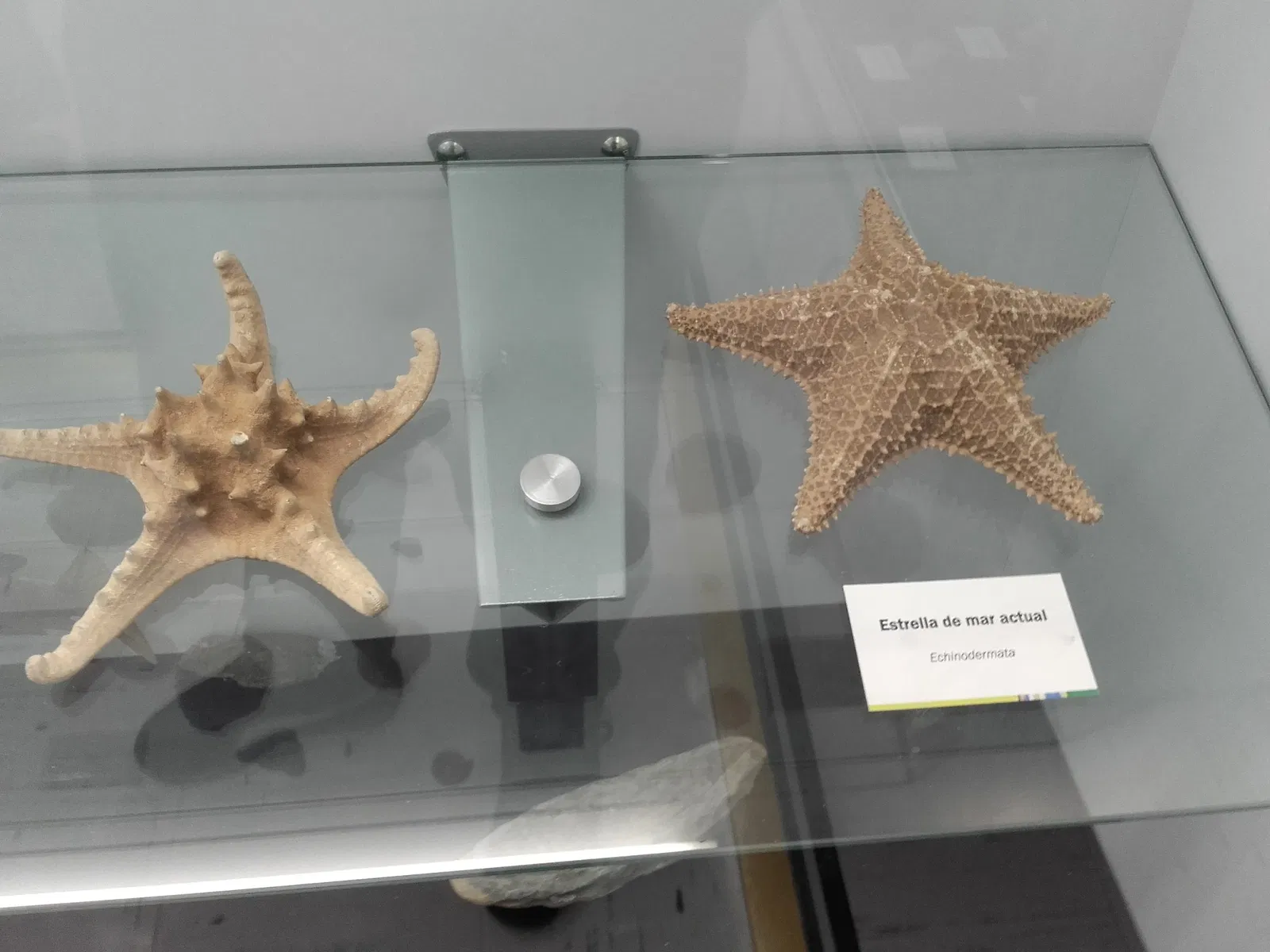 Museo del Mar (Bogotá)