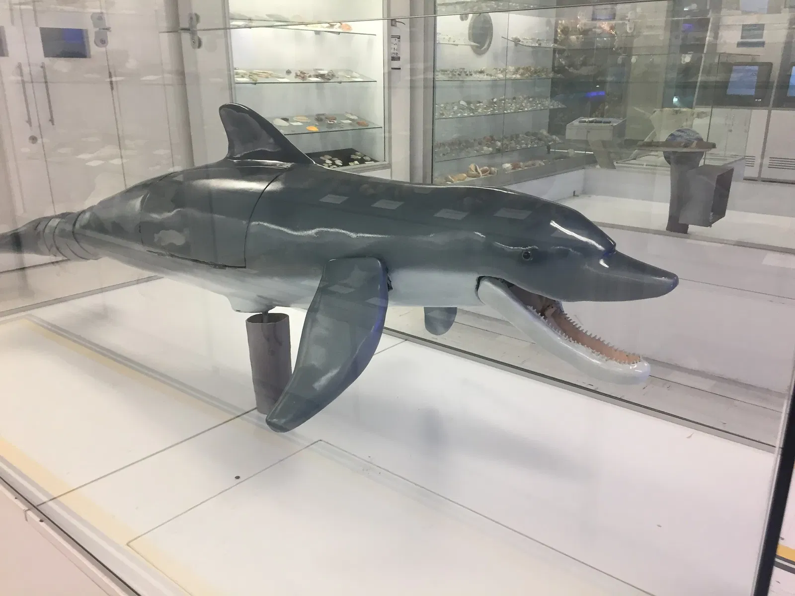 Museo del Mar (Bogotá)