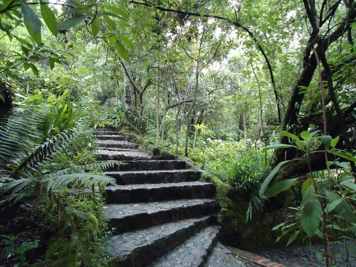 Casa Museo Quinta de Bolívar