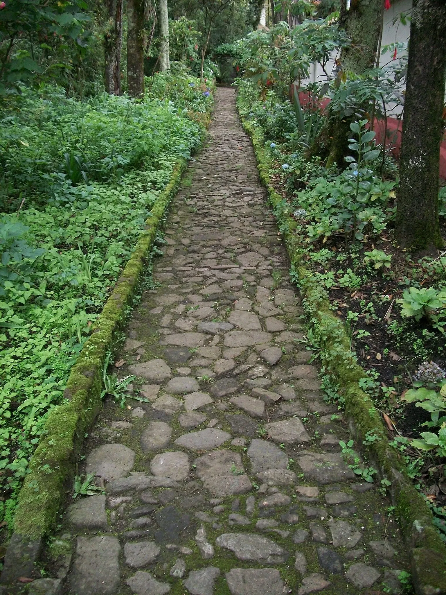 Casa Museo Quinta de Bolívar