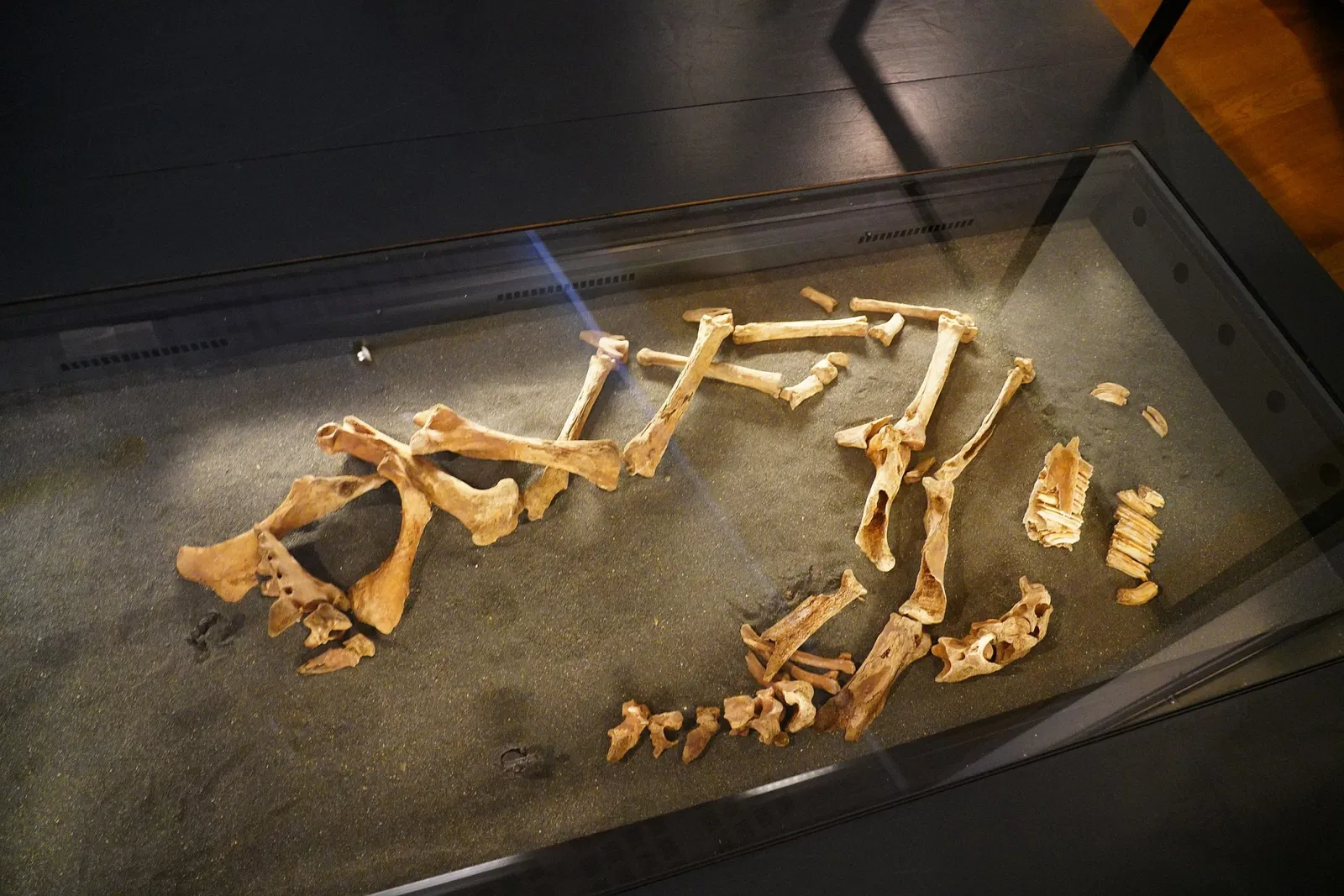 National Museum of Iceland