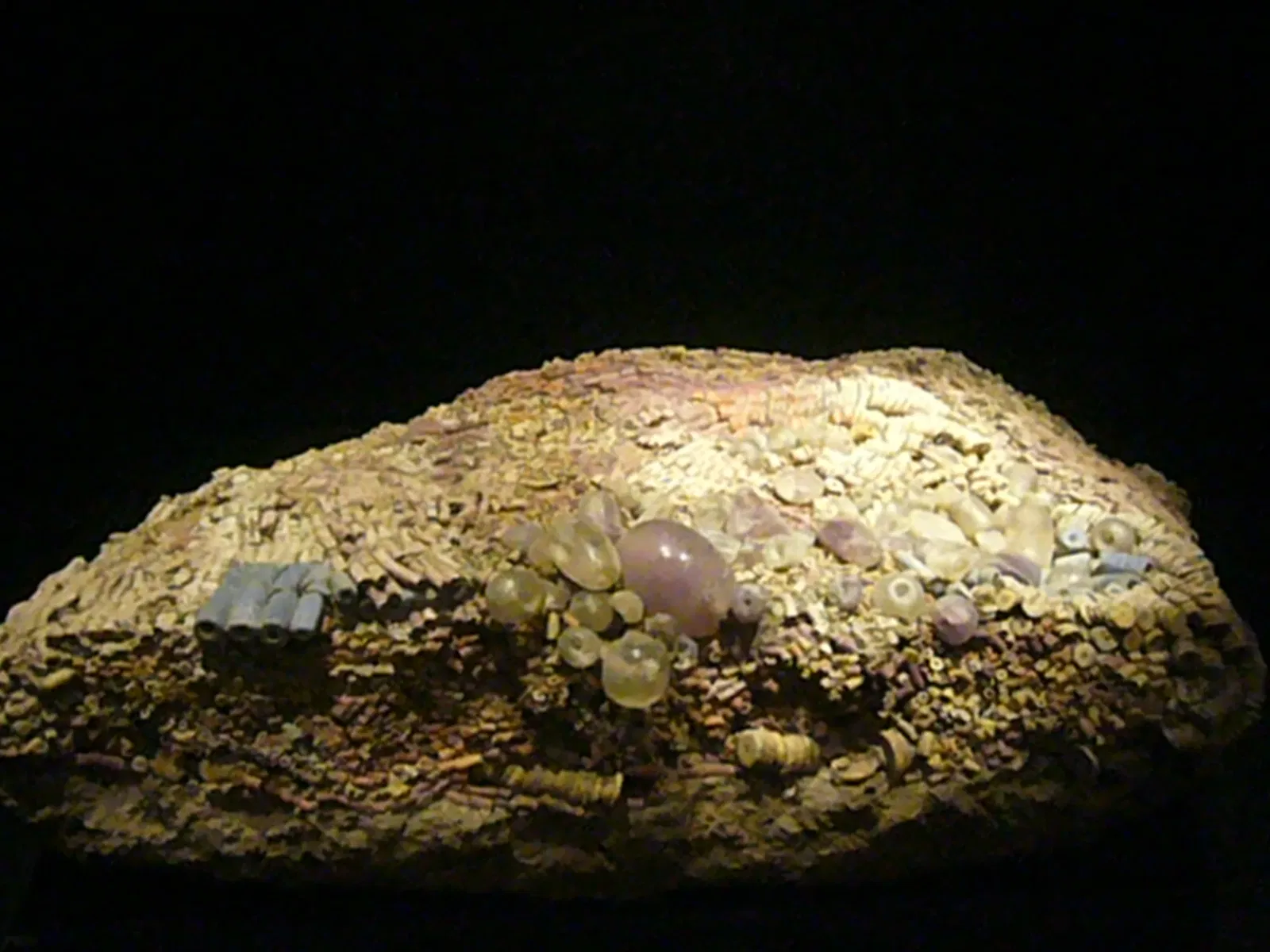 Museo Nacional Sicán