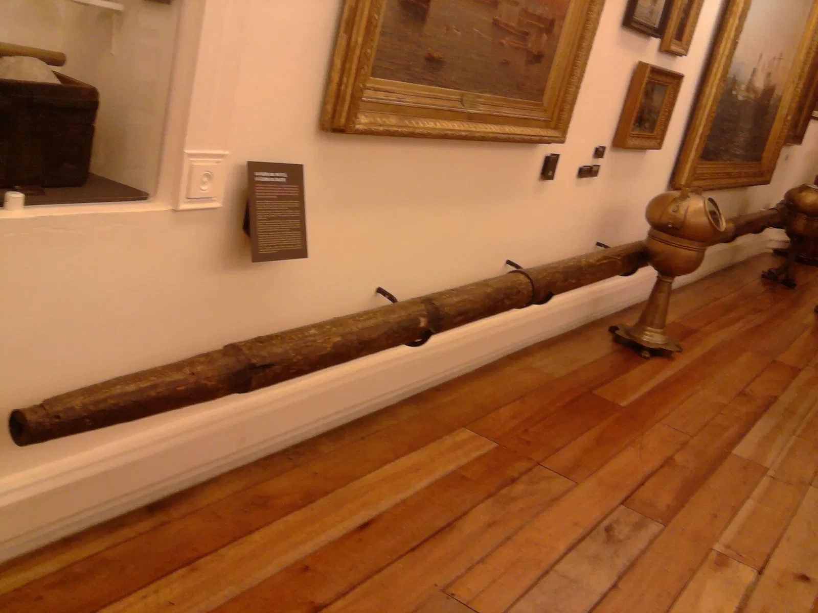 National History Museum of Chile